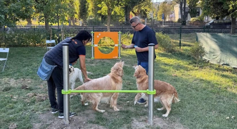 Új agility eszközökkel bővült ez a Veszprém megyei kutyafuttató – libikóka, lyukasfal és szlalompálya is várja a négylábúakat
