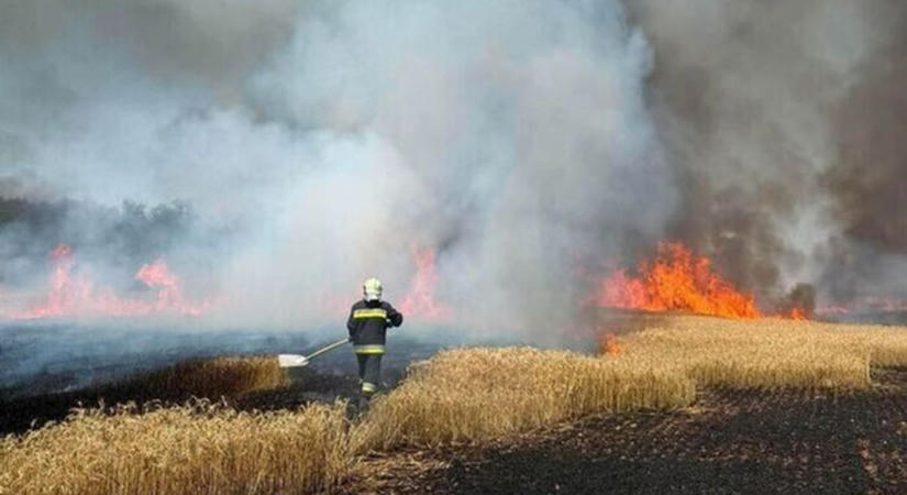 Óriási tűz pusztított a megyében, lakóházakat is veszélyeztetett