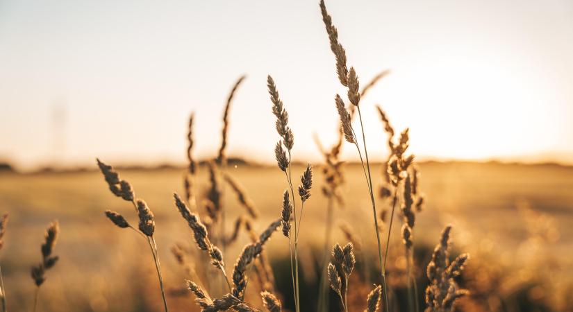 Az agrárpiacok és a KAP jövője került az uniós miniszterek napirendjére