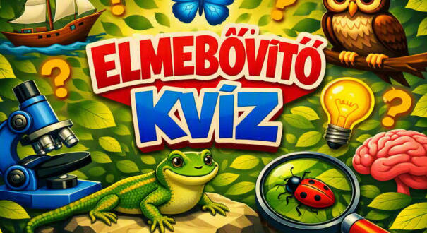 Elmebővítő kvíz: Le a kalappal, ha jól sikerül (806)