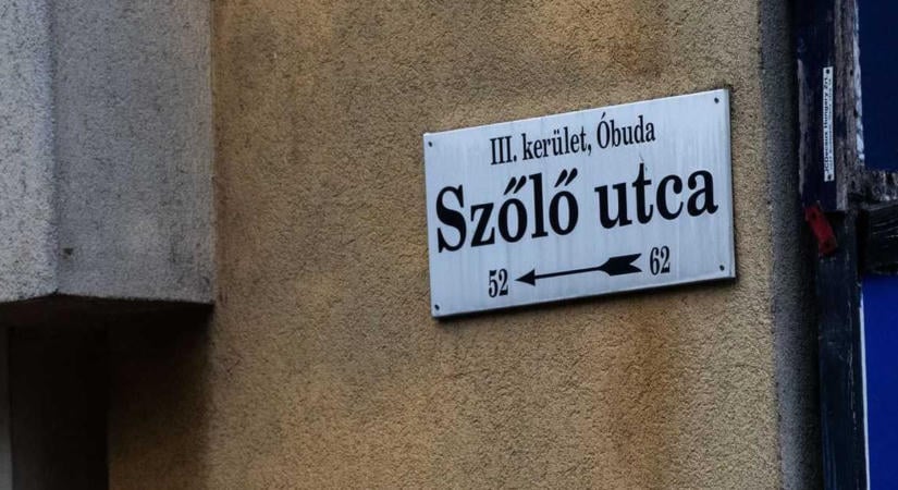 Megszüntettek egy eljárást a Szőlő utcai volt igazgató ügyében