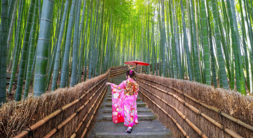 Melyik csillag energiájával születtél? A japán horoszkóp érdekes választ ad
