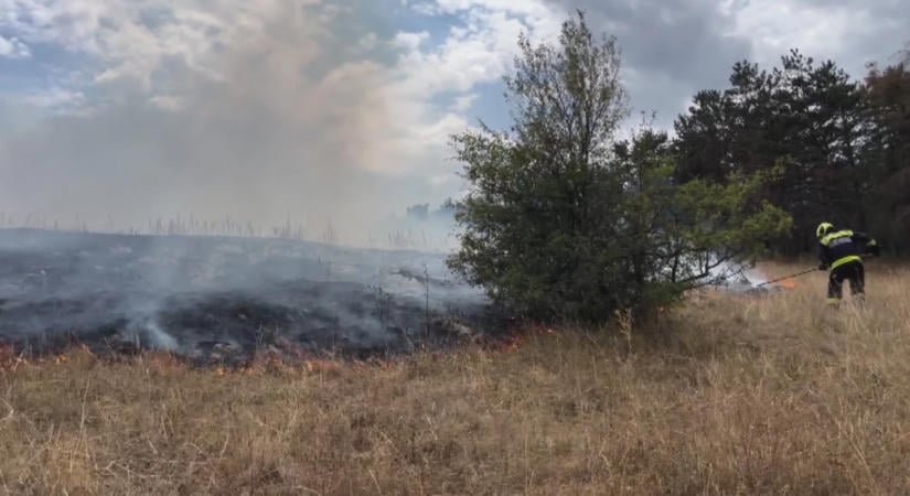 Három helyen is tűz ütött ki Tapolca környékén, erdő és melléképület is lángra kapott
