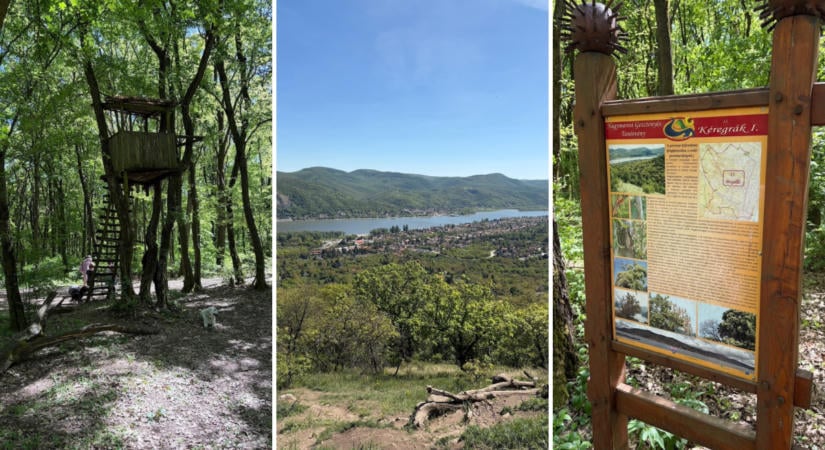 Panorámás körtúra Nagymaros felett, a Kapu-hegyen át