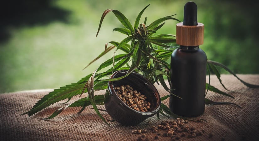 Észak-Macedónia: közel nyolc tonna kannabisz tűnt el egy marihuánatermesztő cégtől