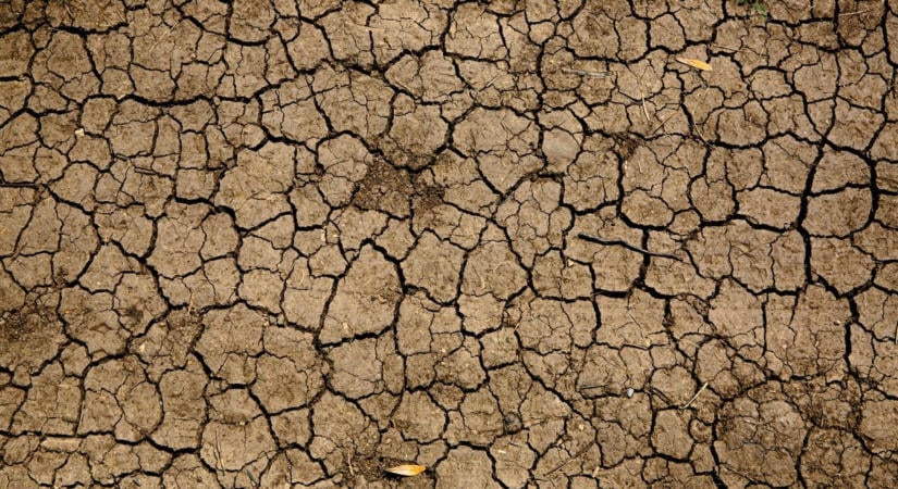 Elkerülhetetlen a válságalap lehívása, 1000 milliárd forintos az idei kár a mezőgazdaságban