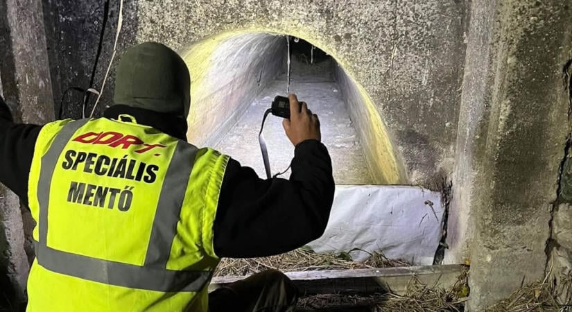 Keresőkutyákkal és hőkamerás drónokkal indultak egy eltűnt idős férfi után  fotók