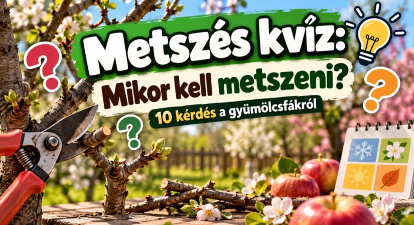 Metszés kvíz: Mikor kell metszeni? 10 kérdés a gyümölcsfákról