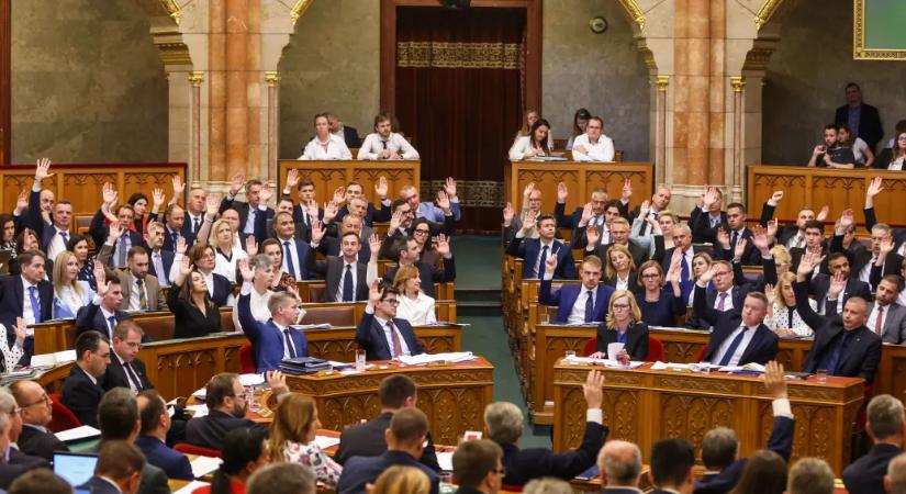 Tisza's first-time MPs: They didn't enter Parliament to just push buttons, but the long sessions can be challenging