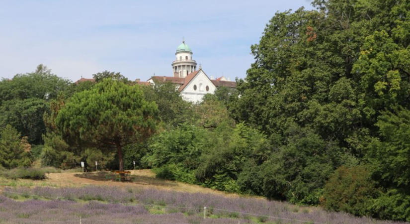 Kirándulás a Pannonhalmi Gyógynövénykertbe és Illatmúzeumba