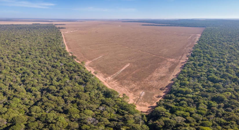 Brazília üzent az EU-nak: bízzanak az erdőirtási adatokban