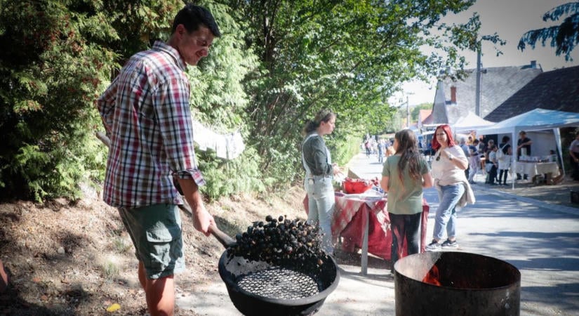 Dudaszóval, gesztenyével és középkori hangulattal telt meg Cák - fotók