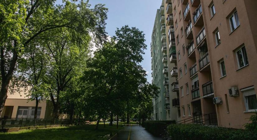 Agresszív férfi nyomorítja meg a lakók életét Debrecenben! Több nő is átélte a szörnyűségeket
