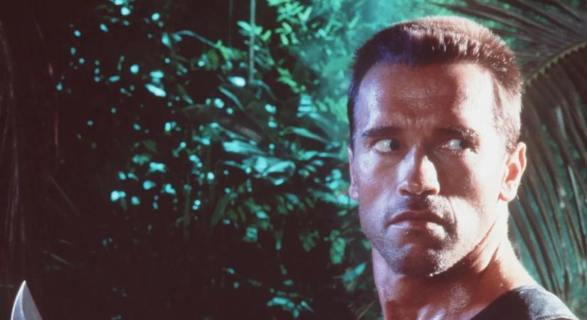 „Teli torokból üvöltöttem” – Sokkot kapott Arnold Schwarzenegger a magyar énekes akciójától a pesti utcán!