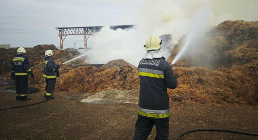 Megterhelő bevetés: amíg mindenki aludt, ők dolgoztak, ilyen volt a vásárhelyi tűzoltók éjszakája  fotók