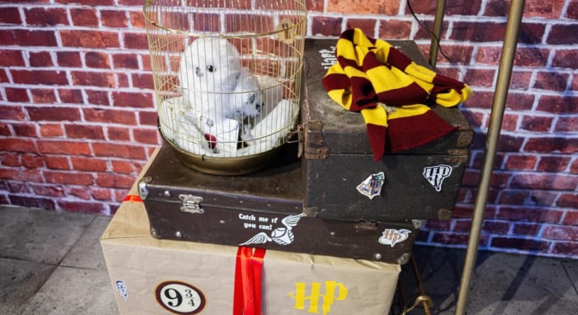 Az új Harry Potter-sorozat nagyon más lesz, a felnőttek különösen örülni fognak