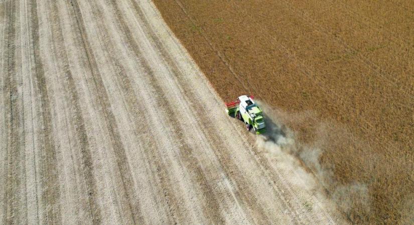 Bár ez nem vigasz, de a környező országokban sincs rózsás helyzetben az agrárium