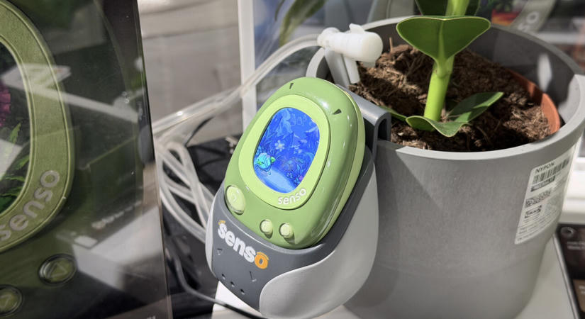 IFA 2026: Tamagotchit csinálna a növényekből a PlantSenso