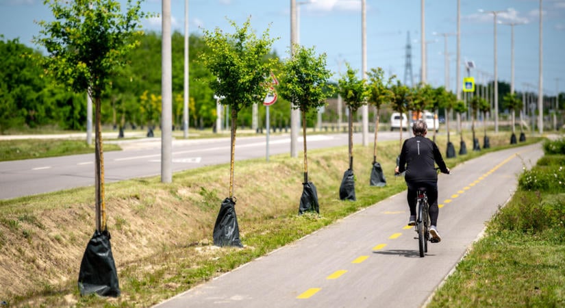 Pincéktől a partig: 2,5 kilométer új kerékpárút épül Balatonbogláron