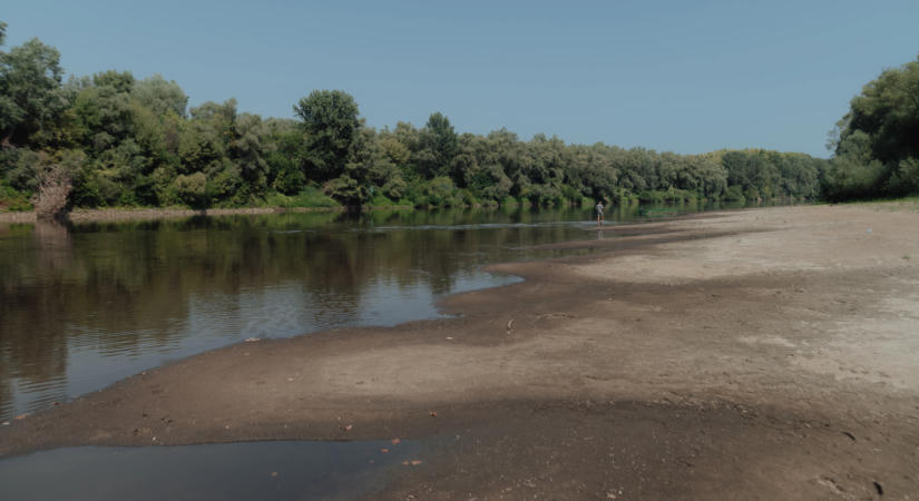 Nagyon alacsony a Tisza vízhozama