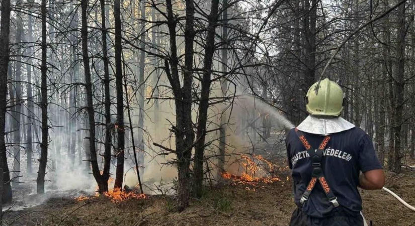 15 hektáron keresztül pusztítanak a lángok a Pilisben