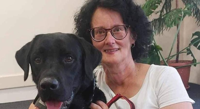 Kislány mentette meg Maricát és vakvezető kutyáját a rájuk támadó pitbulltól