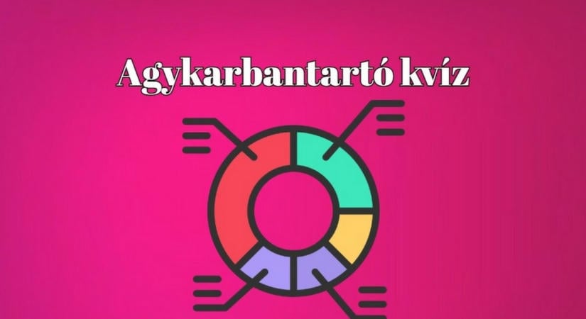 Napi kvízkaland - Mi már tudjuk, mit fogsz csinálni az elkövetkező néhány percben