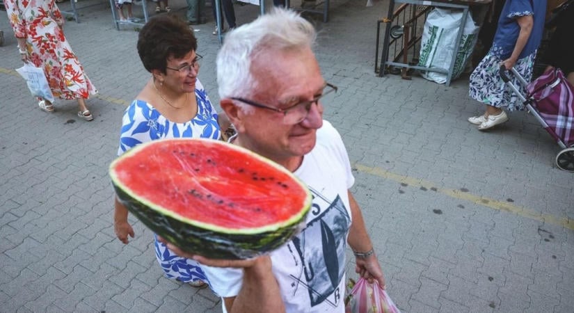 Magyar dinnye veszélyben: összeomlottak a felvásárlási árak, a termelők a túlélésért küzdenek