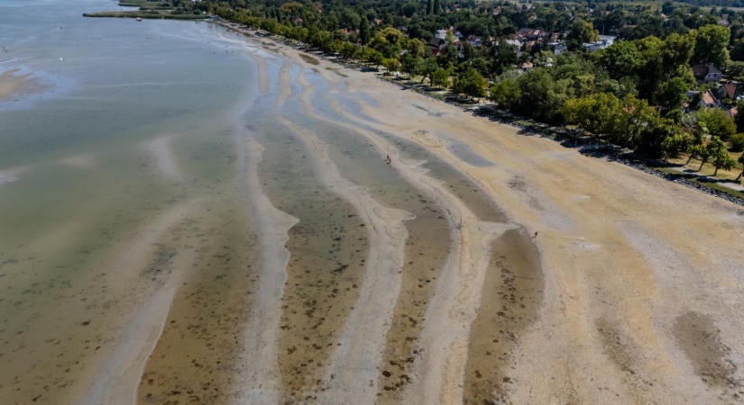 Az eltűnő tó nem akadály, a Balatonon sokkal inkább az estéket rontotta el az árvaszúnyog-invázió