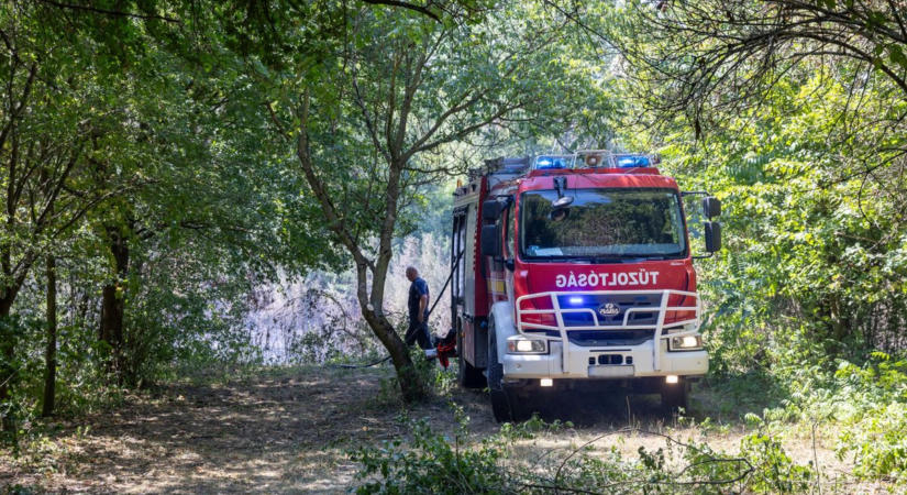 Helyszíni fotókon és videón a tatabányai tűz: több hektár borult lángokba