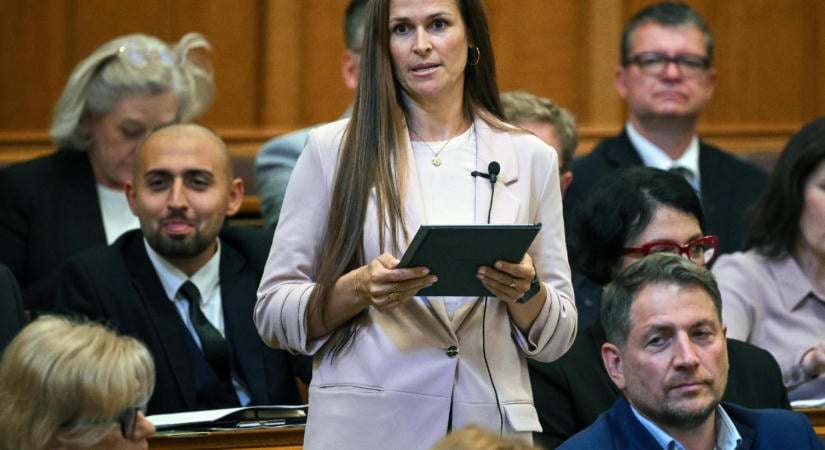 Pásztor Anett: Fontos, hogy a kékharisnyázásnak legyen következménye