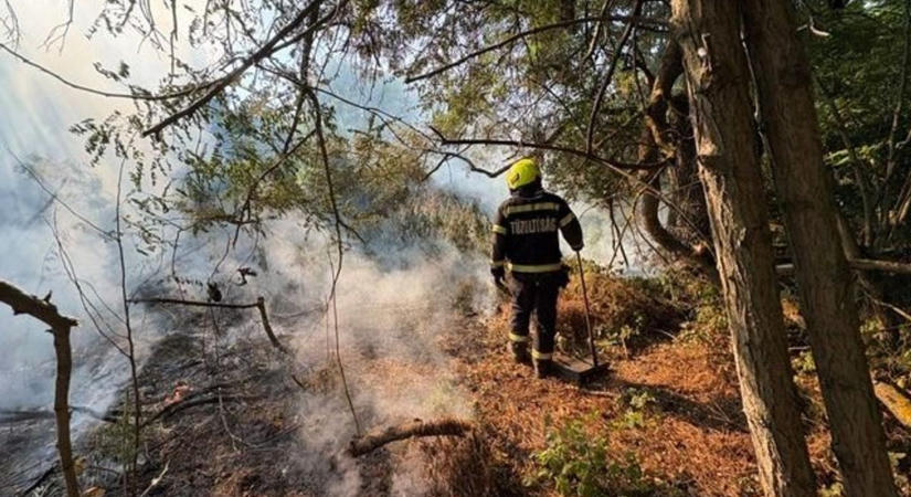 Lángra kapott a száraz növényzet Dombóváron – elektromos vezeték is veszélybe sodorta az oltást (FOTÓK)