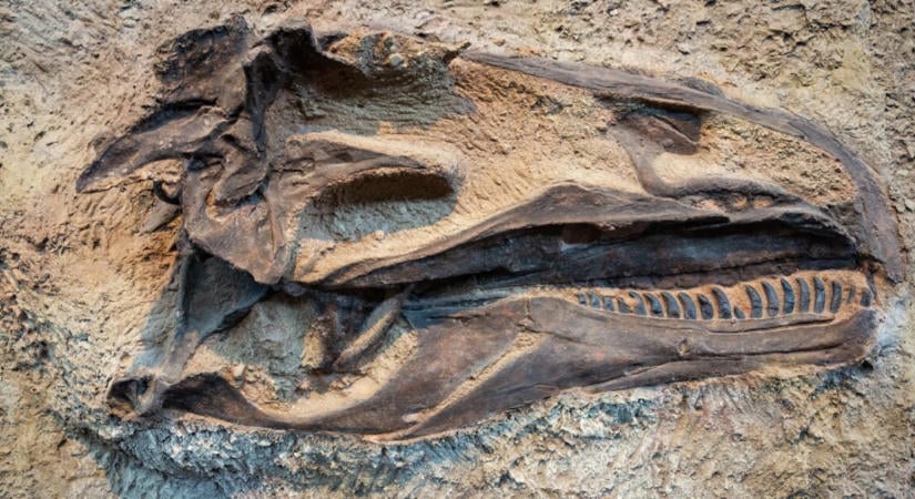 Végre igazi riválist kapott a Jurassic Park