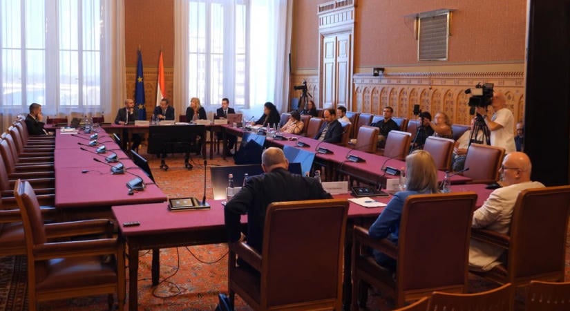 Végrehajtói visszaélések: a profitorientált rendszer és a kontroll hiánya az ok a szakértők szerint