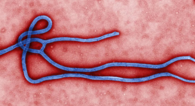 Ebolás beteget találtak Nigéria fővárosában – 44 kontaktot figyelnek