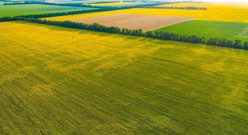 Így lehet egyszerre kevesebb a kibocsátás és a költség
