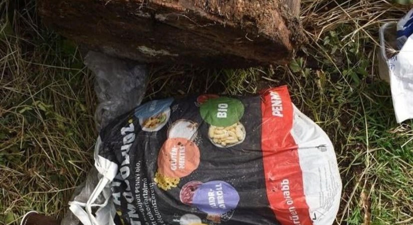 A nyitott teraszajtón surrant be a tolvaj, egy fatuskó alá rejtette a lopott holmit