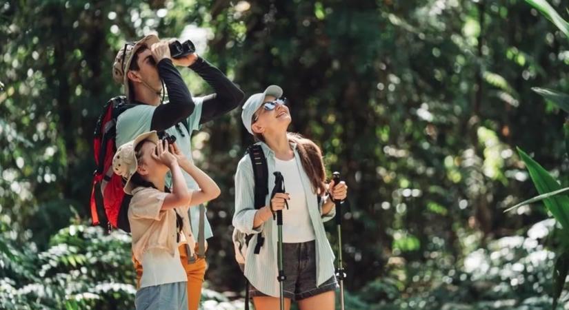 5 varázslatos magyar erdő, ahol a lombok árnyékában hűsölhetsz