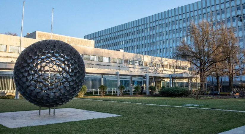 Fontos lépést tettek szegedi kutatók az immunsejtek válaszait meghatározó folyamatok megértésében