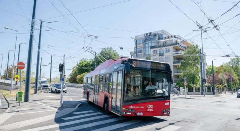 Egy férfi közel 12 ezer eurót felejtett a trolin – meglepő, mi lett a pénz sorsa