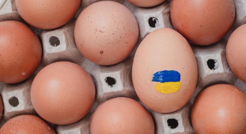 Szalmonellás ukrán tojások miatt riadóztatták a hatóságokat: egyre nagyobb a nyomás az európai piacon
