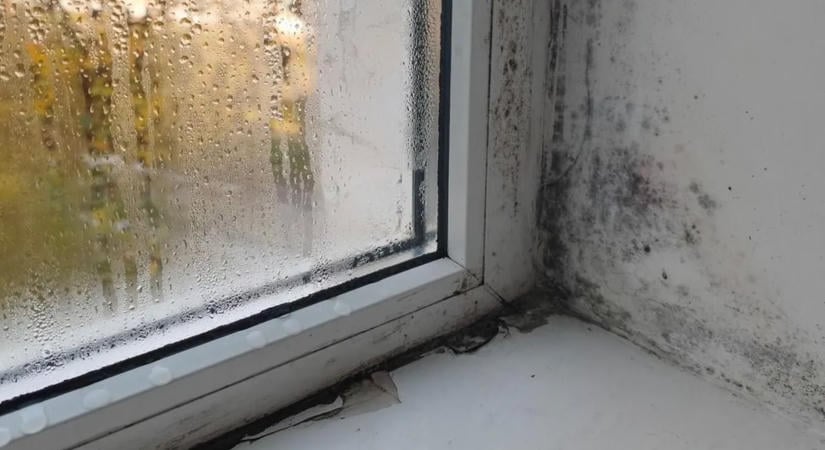 Egy apró fekete folttal kezdődik, aztán vagyonokba kerülhet a javítás