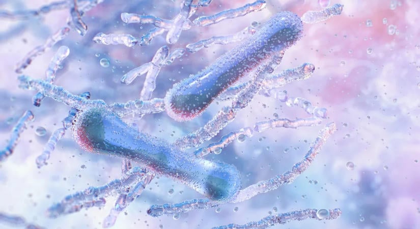 Alzheimer-kór: meglepő hatást fedeztek fel a probiotikumoknál