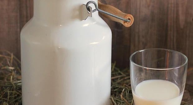 Új elnökséget választott tisztújító közgyűlésén a Tej Terméktanács