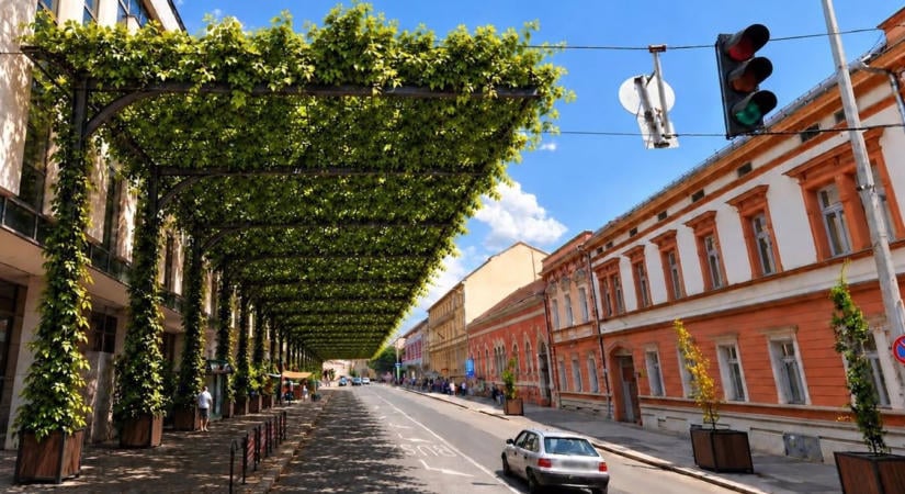 Radikális átalakítás Pécs belvárosában: megvan a terv, ami végre megzabolázza a kibírhatatlan hőséget