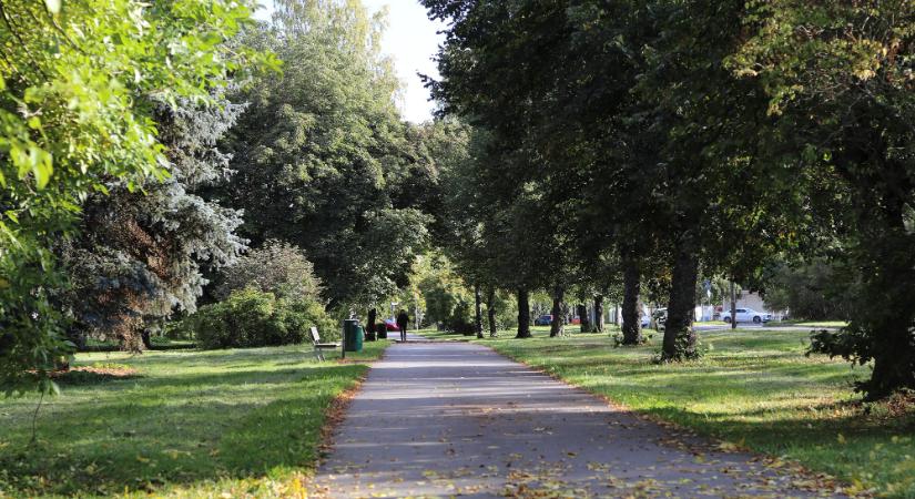 Megtalálták a Szabadkán eltűnt fiút
