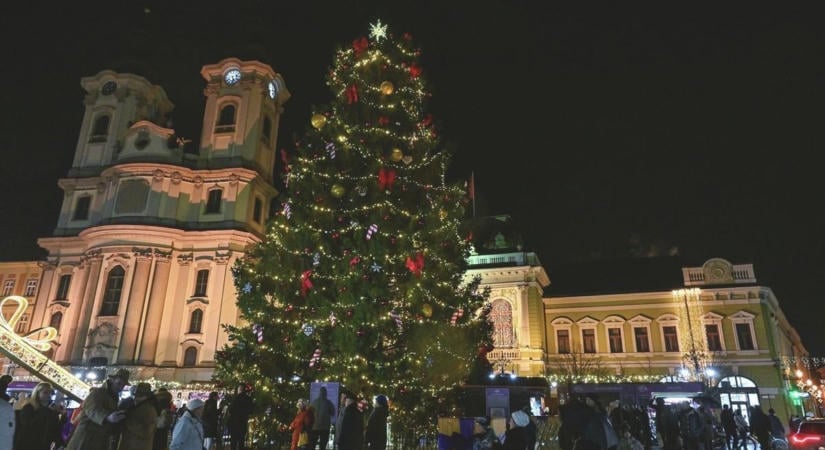 Eger karácsonyfáját keresik – lehet, hogy éppen az Ön kertjében áll