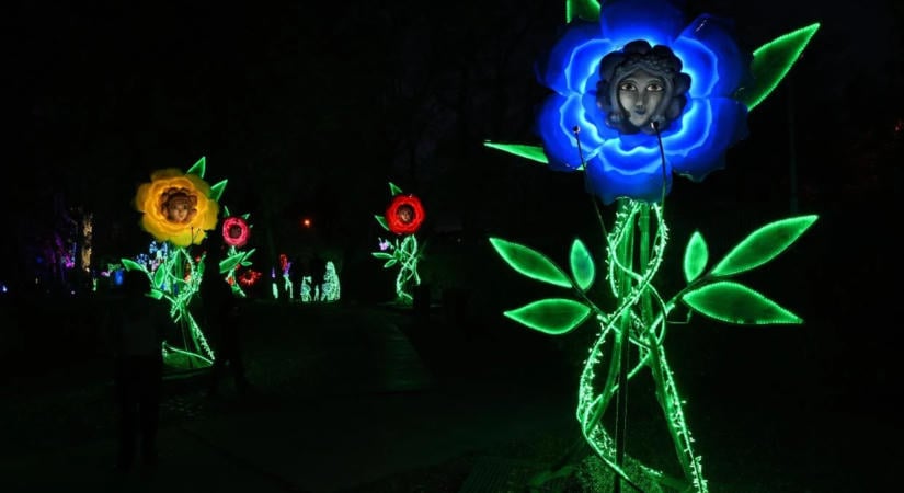 Alice Csodaországban tematikával nyílt meg az idei Lumina Park a Margitszigeten
