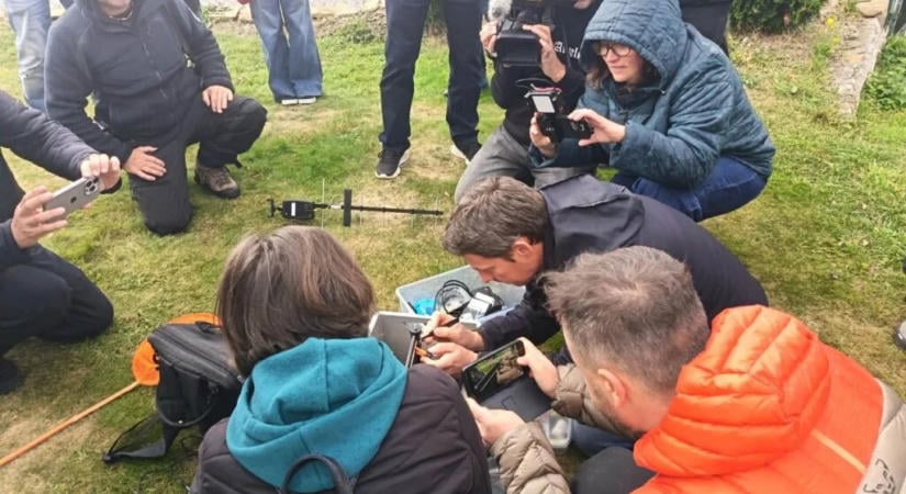 Egyedülálló védekezési rendszer épült ki az ázsiai lódarázs ellen a MATE-n