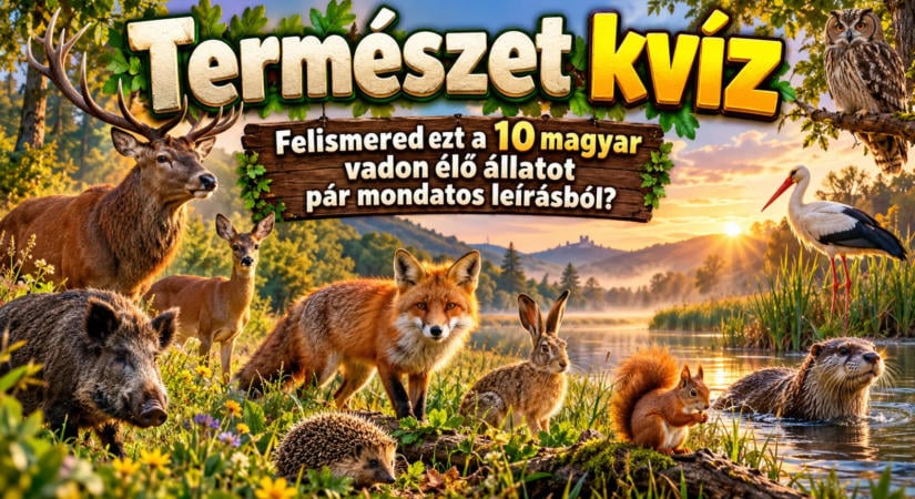 Természet kvíz: Felismered ezt a 10 magyar vadon élő állatot pár mondatos leírásból?